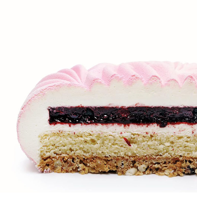 Round Mousse Cake Pan For Baki - Kitchen Gadgets Ninja ulasan dan harga
