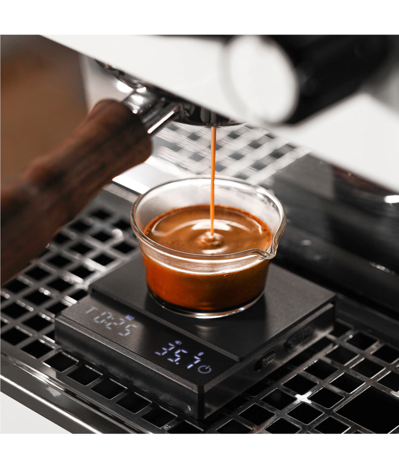 Kitchen Coffee Scale with Time - Kitchen Timer Digital ulasan dan harga
